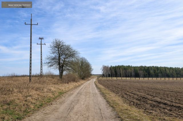 Działka inwestycyjna Krąplewice. Zdjęcie 10