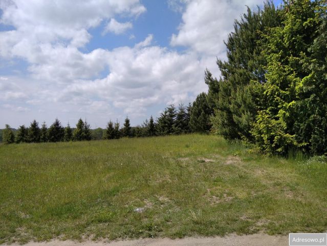 Działka budowlana Donimierz. Zdjęcie 1