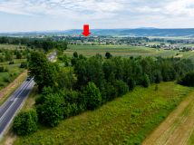 Działka rolno-budowlana Wzdół-Kolonia. Zdjęcie 4