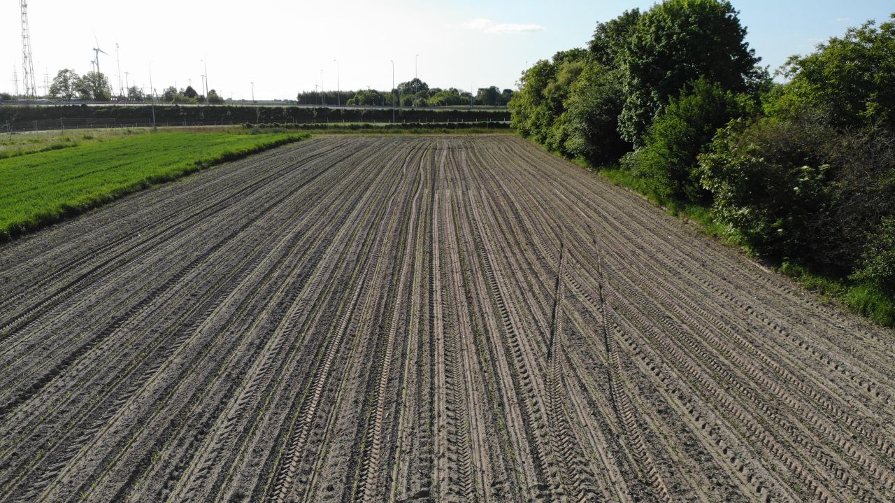 Działka budowlana Iłża Na Szosie Krzyżanowskiej, ul. Radomska. Zdjęcie 5
