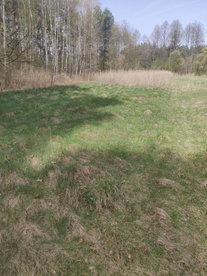 Działka rekreacyjna Rząsawa. Zdjęcie 7