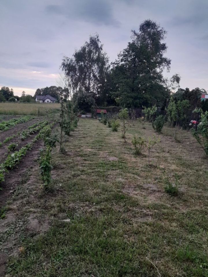 Działka budowlana Wołów. Zdjęcie 2
