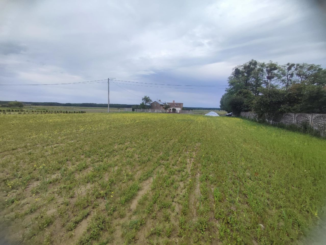 Działka budowlana Stropieszyn. Zdjęcie 4