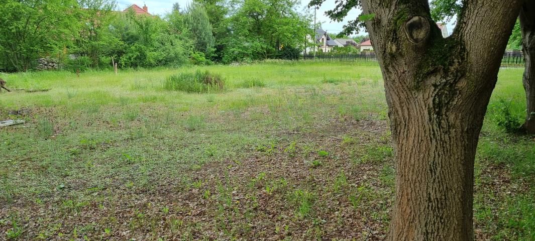 Działka budowlana Rozalin. Zdjęcie 3