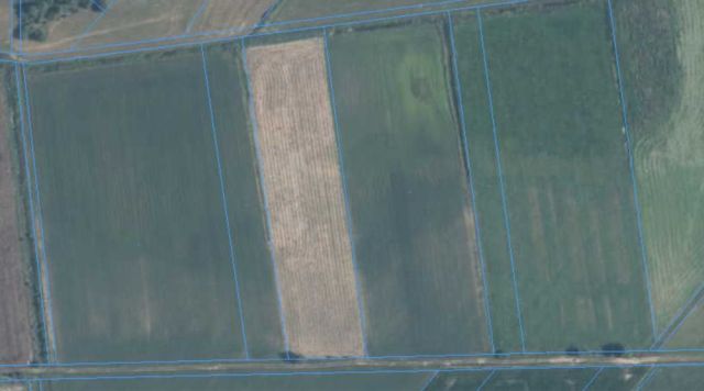 Działka rolna Nowe Połoski. Zdjęcie 1