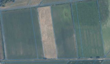 Działka rolna Nowe Połoski