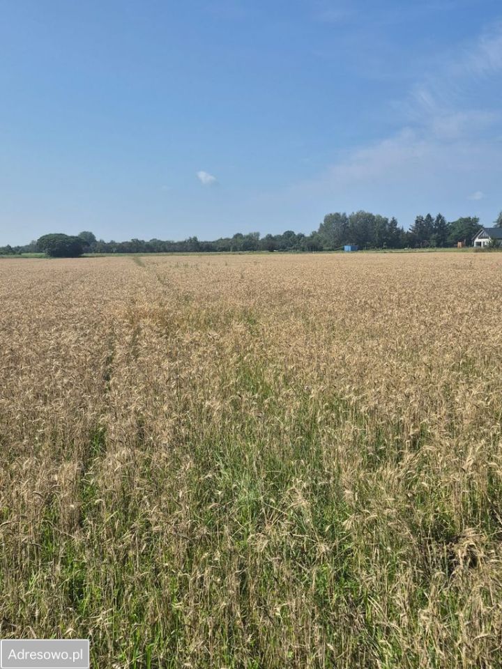 Działka rolna Kępa Nadbrzeska. Zdjęcie 3