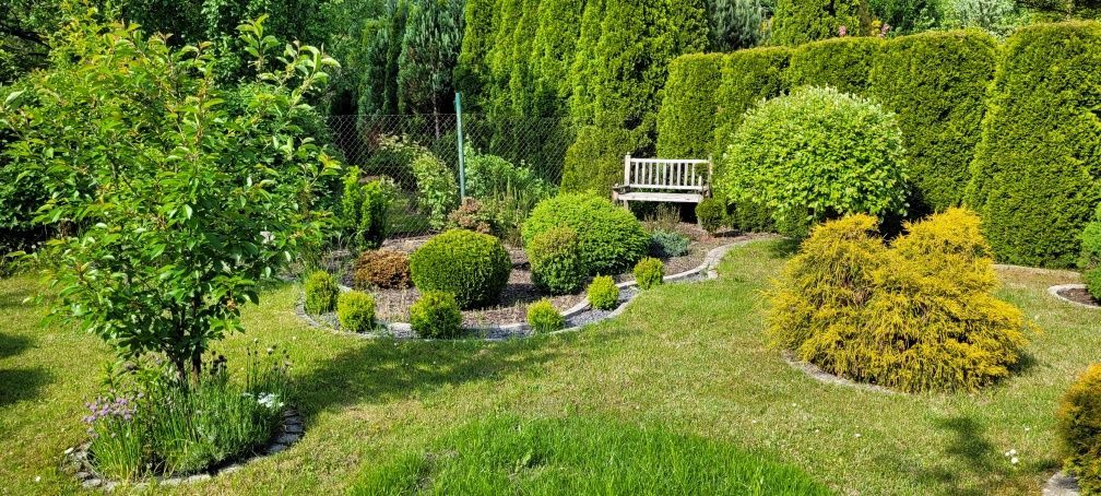 Działka rekreacyjna Gliwice Trynek