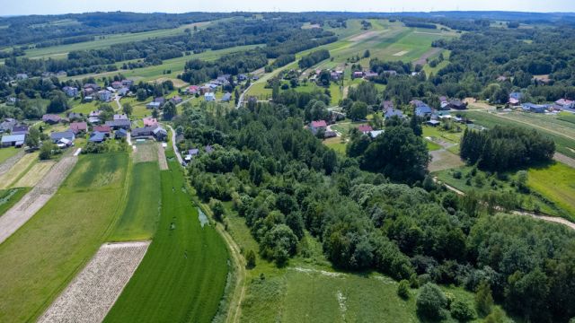Działka rolno-budowlana Harta. Zdjęcie 5