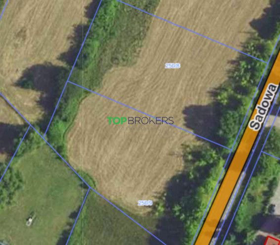 Działka siedliskowa Książenice. Zdjęcie 3