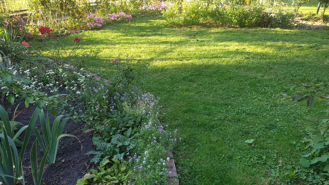 Działka rod Warszawa Marymont, ul. Klaudyny. Zdjęcie 20