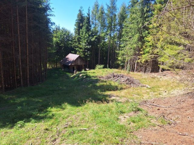 Działka rekreacyjna Szczawnica Gabańka. Zdjęcie 1