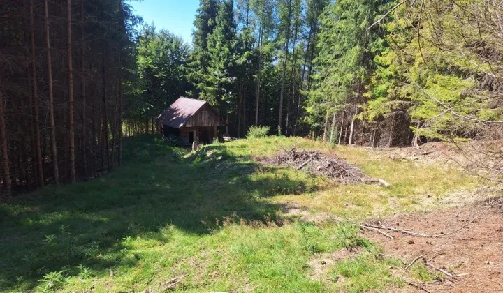 Działka rekreacyjna Szczawnica Gabańka