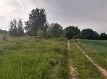 Działka rolna Pławno. Zdjęcie 2