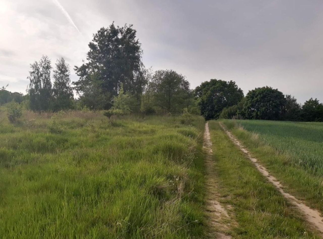 Działka rolna Pławno. Zdjęcie 3