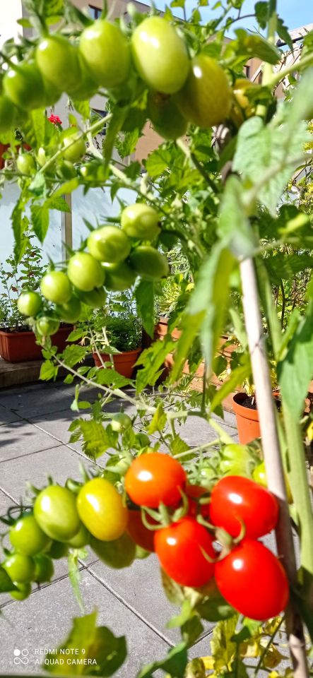 Mieszkanie 2-pokojowe Kraków Bieżanów, ul. Agatowa. Zdjęcie 11