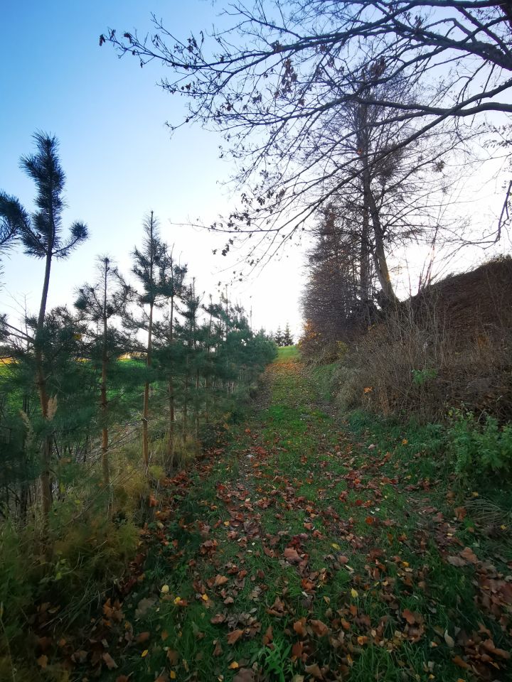 Działka budowlana Bisztynek. Zdjęcie 14