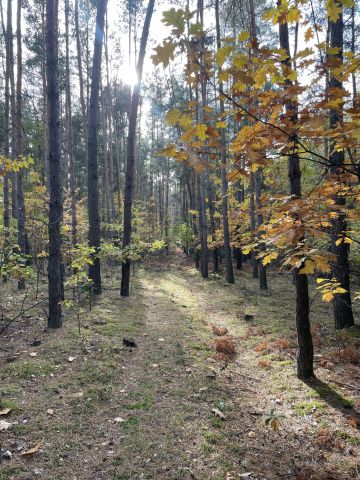 Działka budowlana Malużyn. Zdjęcie 13