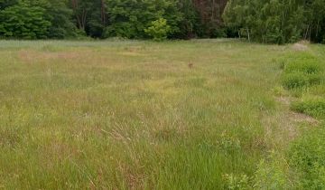 Działka budowlana Sieradz, Wilcza