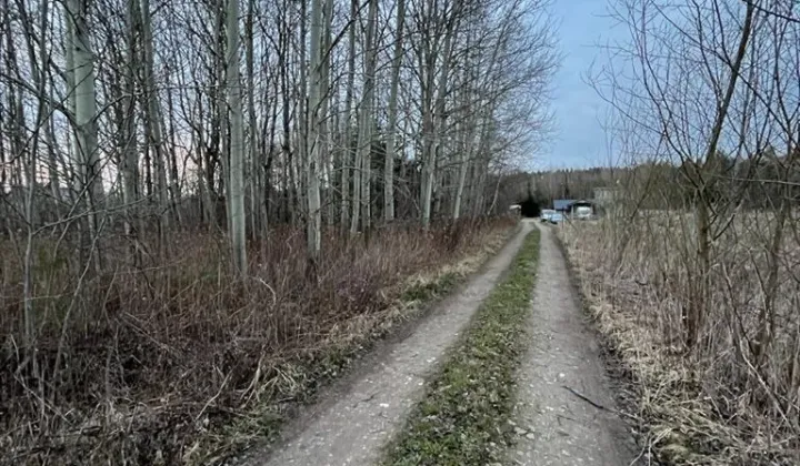 Działka budowlana Kawęczynek, ul. Zaleśna