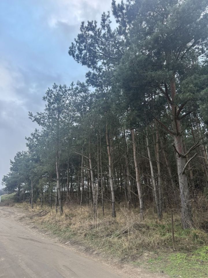 Działka budowlana Nowa Wieś. Zdjęcie 3