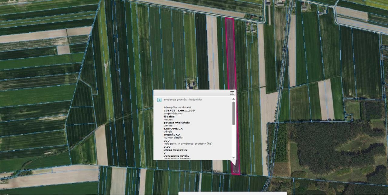 Działka rolna Wrońsko. Zdjęcie 2