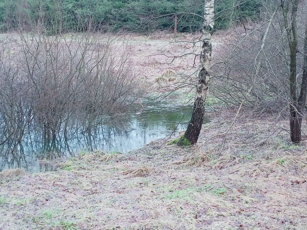 Działka budowlana Zajezierze. Zdjęcie 3