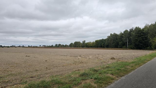 Działka rolno-budowlana Czemierniki, ul. Południowa Kolonia. Zdjęcie 1