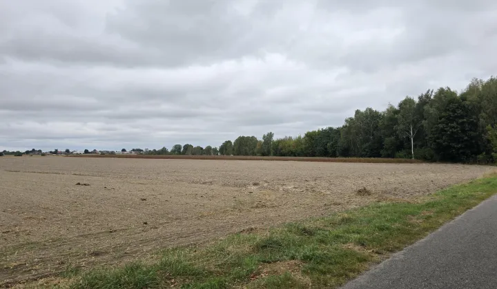 Działka rolno-budowlana Czemierniki, ul. Południowa Kolonia