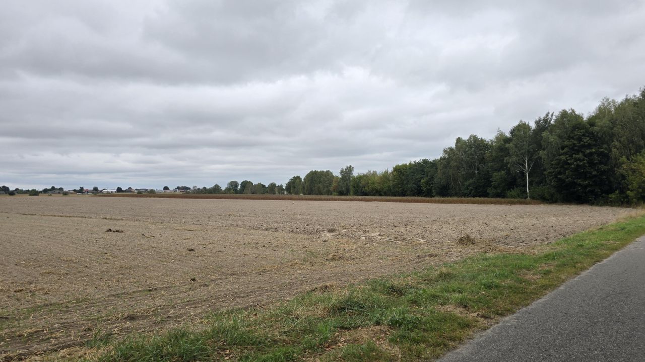 Działka rolno-budowlana Czemierniki, ul. Południowa Kolonia. Zdjęcie 1