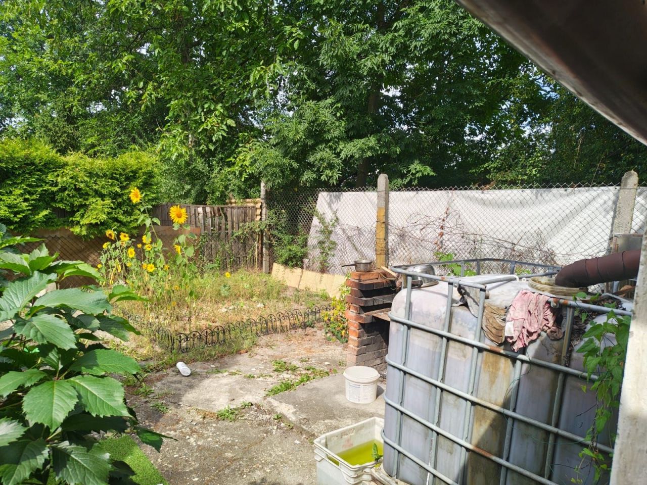 Działka rod Gliwice Kopernik. Zdjęcie 2