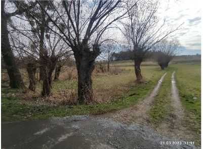 Działka siedliskowa Kolno. Zdjęcie 6