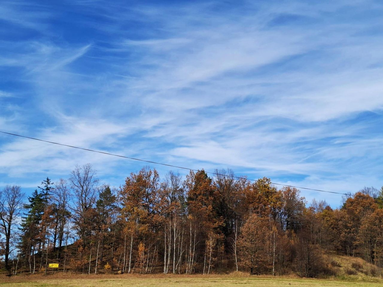 Działka rolna Głębock. Zdjęcie 7