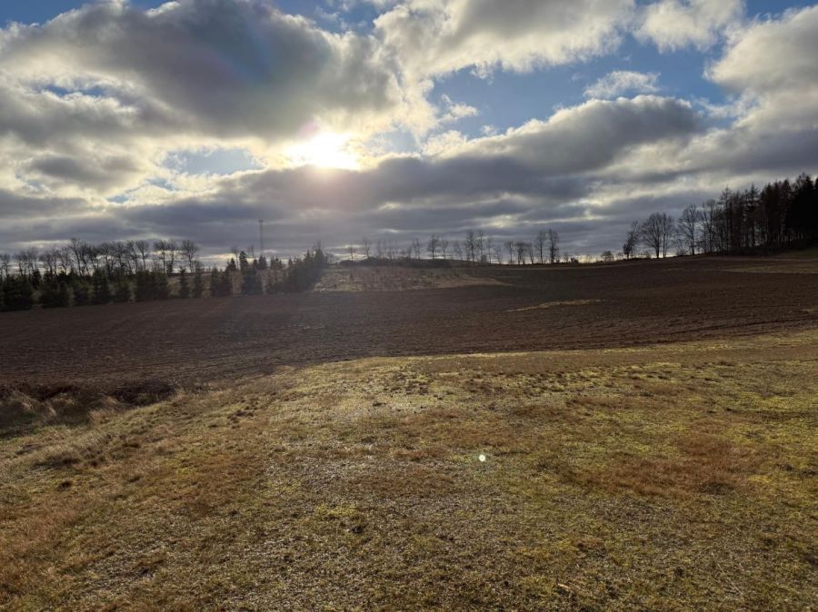 Działka budowlana Borzestowo. Zdjęcie 7