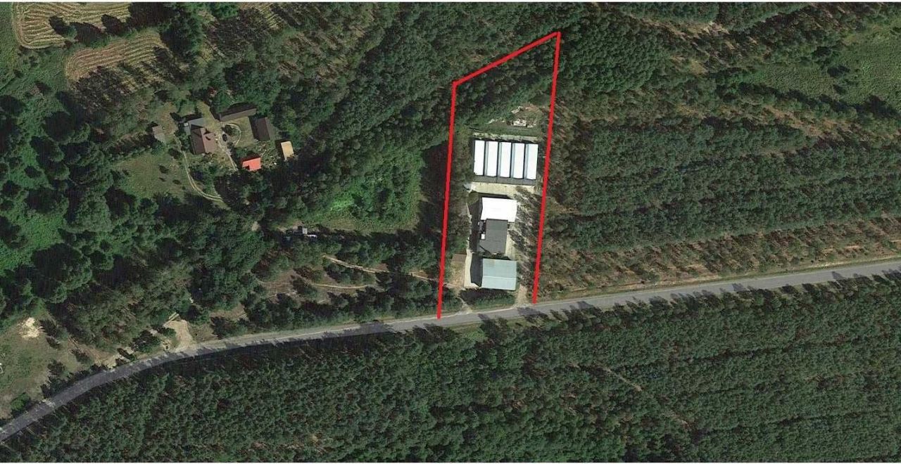 Hala/magazyn Bielsko. Zdjęcie 2