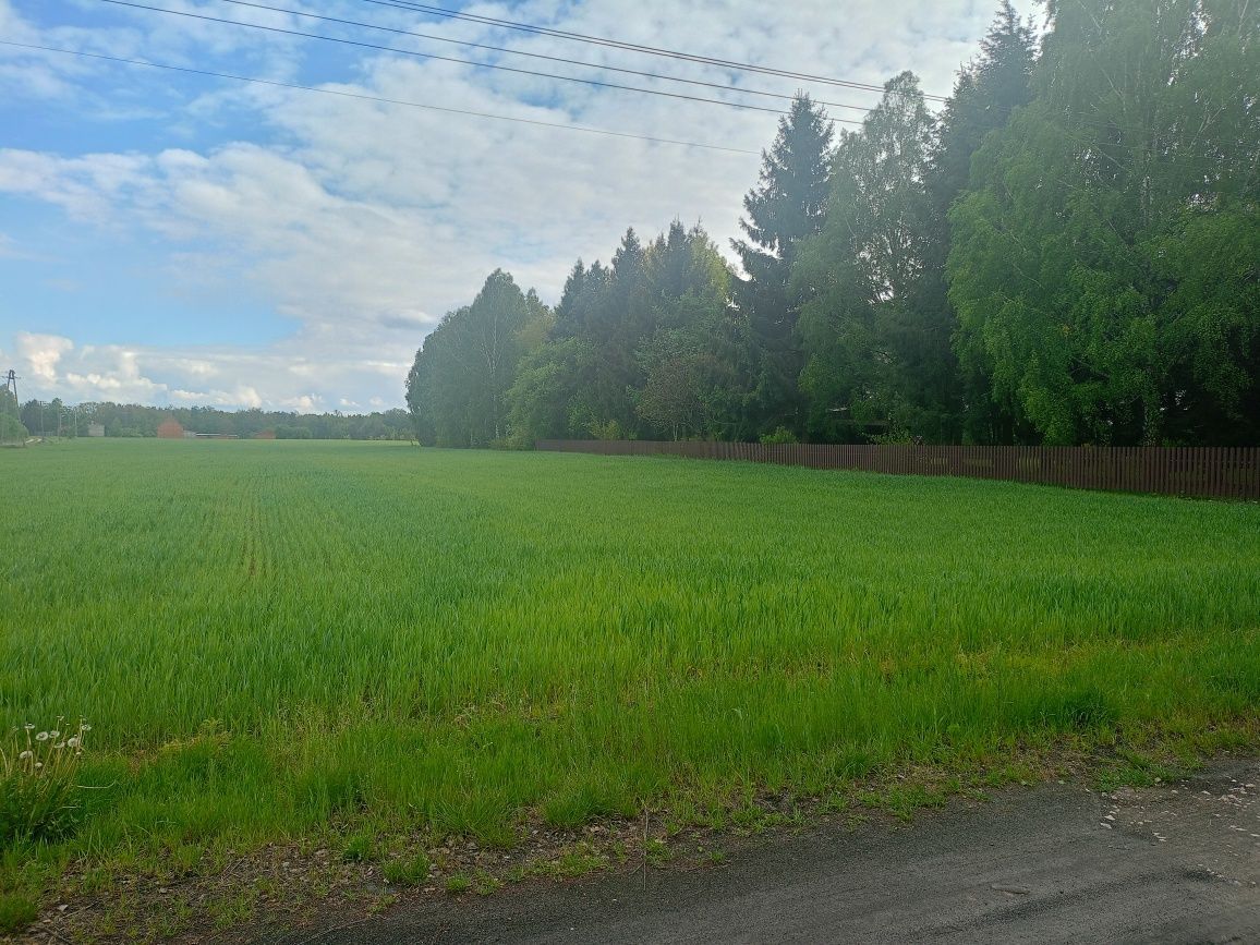 Działka budowlana Czuryły. Zdjęcie 3