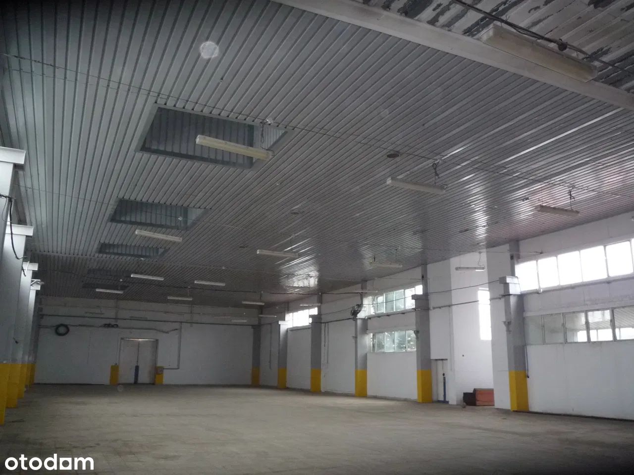 Hala/magazyn Pabianice