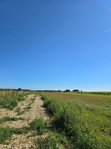 Działka budowlana Międzyrzecze. Zdjęcie 2