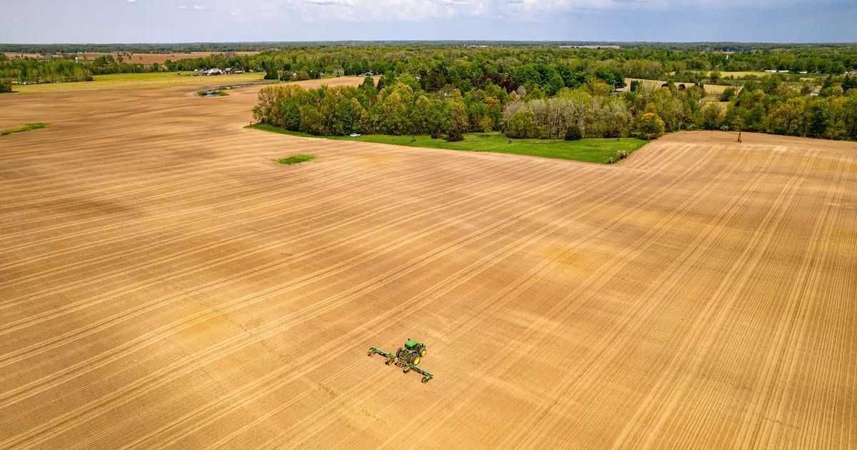 Działka rolno-budowlana Frednowy. Zdjęcie 1