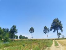Działka budowlana Oleszna Podgórska. Zdjęcie 1