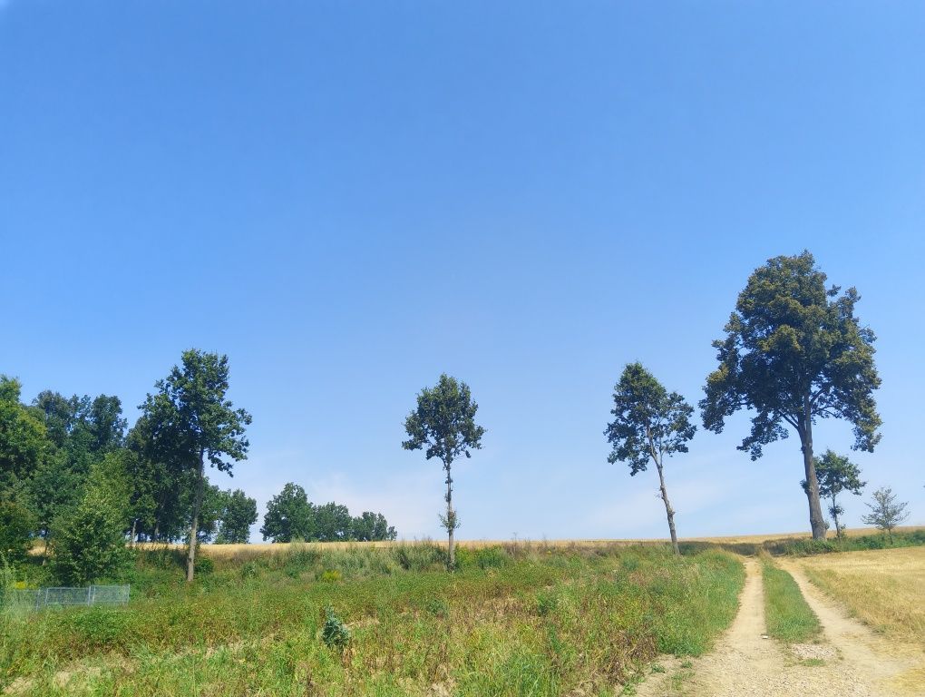 Działka budowlana Oleszna Podgórska. Zdjęcie 2