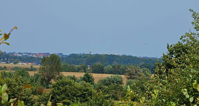 Działka budowlana Barzowice. Zdjęcie 1