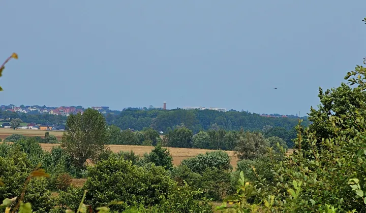 Działka budowlana Barzowice