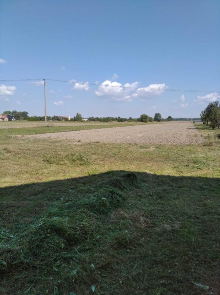 Działka rolno-budowlana Dąbrowa. Zdjęcie 2