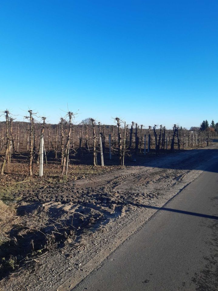 Działka rolno-budowlana Nowy Żelechów. Zdjęcie 5