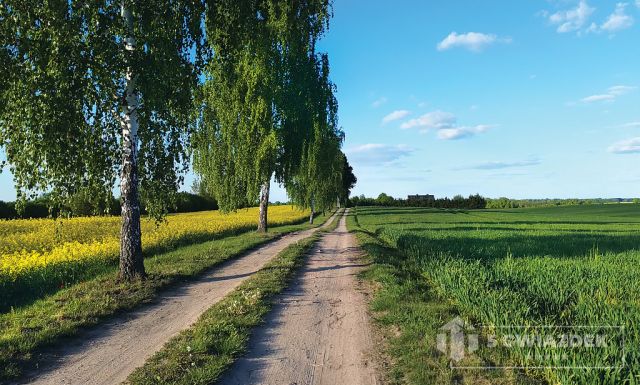 Działka budowlana Dziki. Zdjęcie 13
