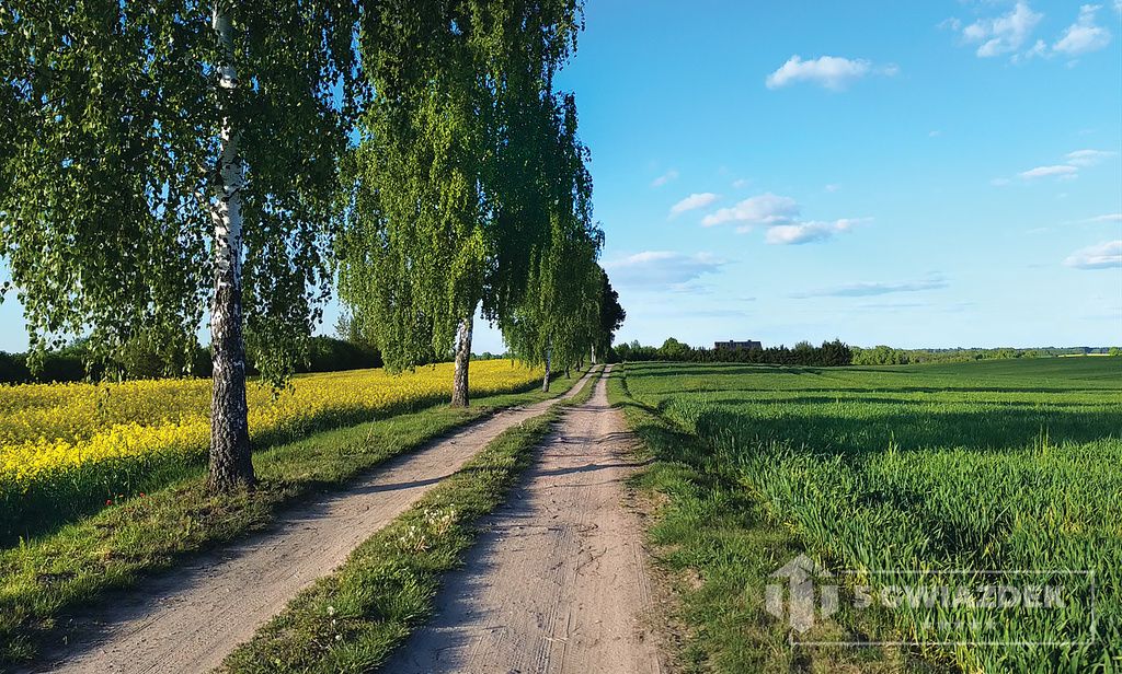 Działka budowlana Dziki. Zdjęcie 13