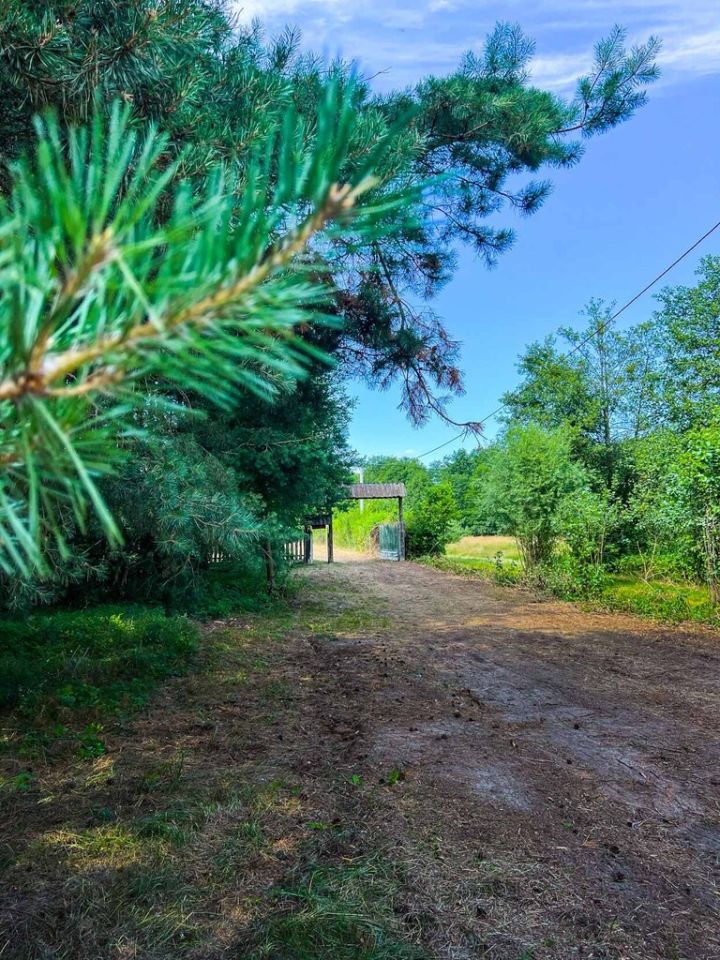 Działka budowlana Boguszków. Zdjęcie 14