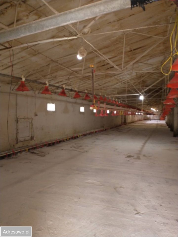 dom wolnostojący, 6 pokoi Krusza Duchowna. Zdjęcie 3