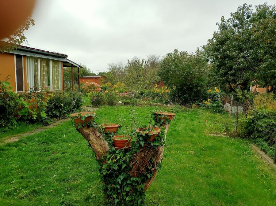 Działka rod Gdańsk Rębiechowo. Zdjęcie 9